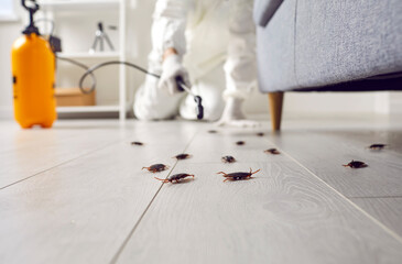 Pest control exterminating roaches inside the house. Professional exterminator in protective suit...