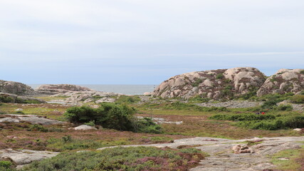 réserve naturelle de Tjurpannans sur la côte suédoise