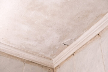 The ceiling is moldy.Surface in mold. Light wall in the room in mold. Wet room.