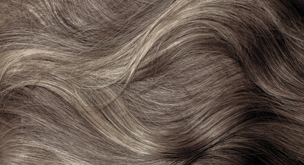 Brown hair close-up as a background. Women's long brown hair. Beautifully styled wavy shiny curls....