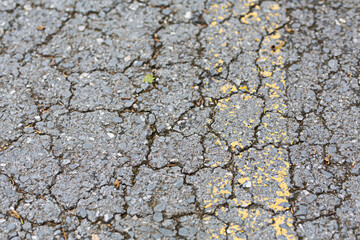 Cracked asphalt road close-up shot