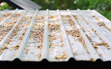 metal sheet roof covered with leaves