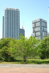 modern office building