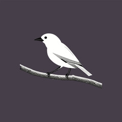 vector bird branch white look nice,pj
