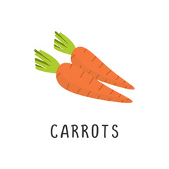 Carrots Vector illustration, flat design cartoon of crunchy carrot natural product for health and vitamins.