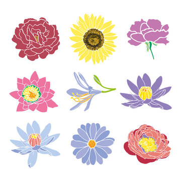 Floral set in flat style. Various simple colored flowers. Pastel colors. Minimalistic contour design of flowers. Vector illustration.