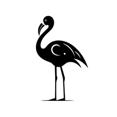 Flamingo vector illustration isolated on transparent background