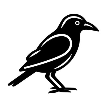 Crow vector illustration isolated on transparent background