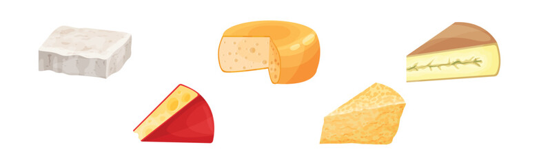 Cheese Slabs as Fresh Milk Food Vector Set