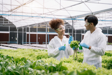 biologists, and scientists are studying the genetic structure of vegetables in a greenhouse.