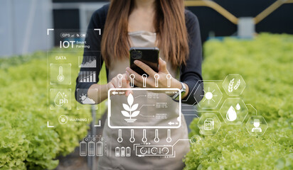 Agriculture uses production control smartphone to monitor quality vegetables at greenhouse. Smart farmer using a technology for studying.