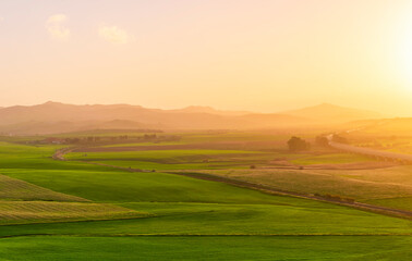 Obraz premium beautiful green valley with green fields with green spring grass with nive hills and mountains and scrnic colorful cloudy sunset on background of landscape