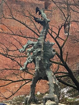 Krakau Feuerspeiender Drache