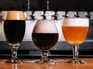 different types of craft beer in glasses on table in pub interior in daylight