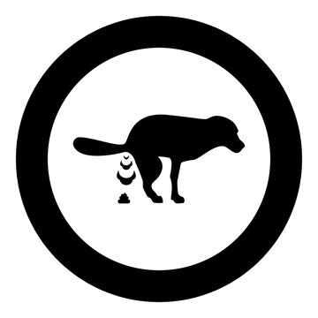 Dog defecation poke pooping pet feces doing its toilet concept of place for walking with animals shit site excrement canine icon in circle round black color vector illustration image solid outline 