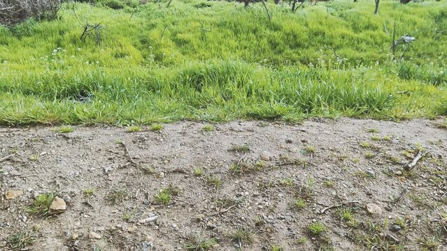 Russian tank or bmp destroyed by the Ukrainian military during the invasion of Ukraine. The remains of a blown up Russian tank in the Kherson region, Ukraine 2022 - 2023. The tank is covered with rust