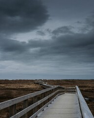 Vertical shot of a wooden footpath and a bridge through the hill in a cloudy weather