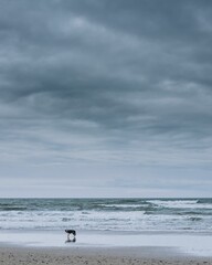Vertical shot of wavy ocean washing over the sandy beach in cloudy weather