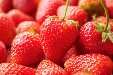Fresh organic red strawberry fruit background