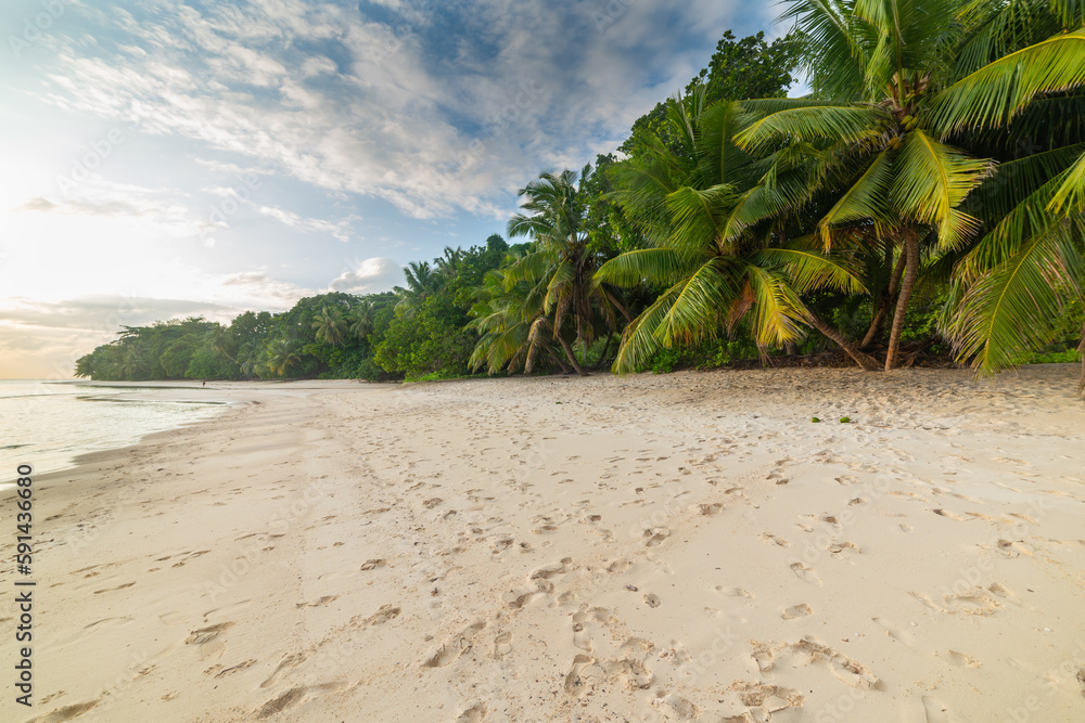 Wall mural Coconut palm trees and white sand at sunset in Praslin island