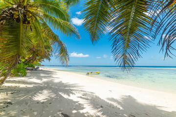 Fototapeta na wymiar Wooden boat and palm trees in Anse Forbans beach