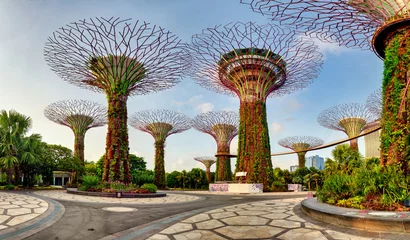 Fototapeten Singapore Supertrees in garden by the bay at Bay South Singapore © TTstudio