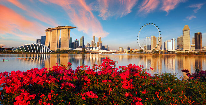View of central Singapore: Marina Bay Sands hotel, Flyer wheel, ArtScience museum and Supergrove