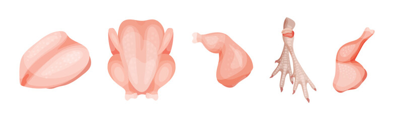 Chicken Meat Part as Farm Fresh Product Vector Set