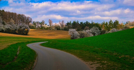 Fototapeta na wymiar Countryside landscape at spring daylight