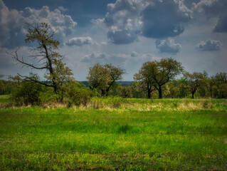 Countryside landscape at spring daylight