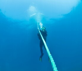 Scuba diving in ocean