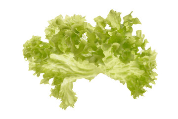 Liść sałaty wyizolowany na białym tle