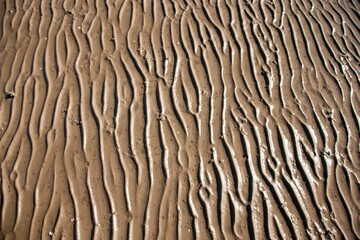 Sandy shore of the ocean with pattern