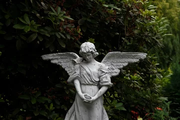 Foto op Plexiglas Historisch gebouw an angel statue stands in the grass with trees behind it