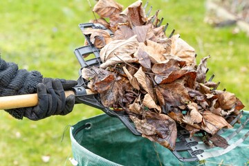 Person wearing gardening gloves placing fallen leaves into a trash bucket in an outdoor setting