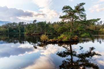 Obraz premium Tarn Hows, Lakes District, England