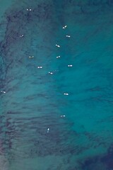 Vertical aerial view of white boats floating on blue water
