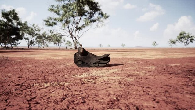 Old decorated mexican saddle lying on sand