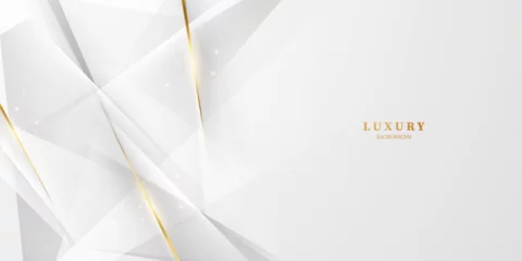 Foto op Plexiglas luxury white abstract background with glittering golden elements vector illustration © HNKz