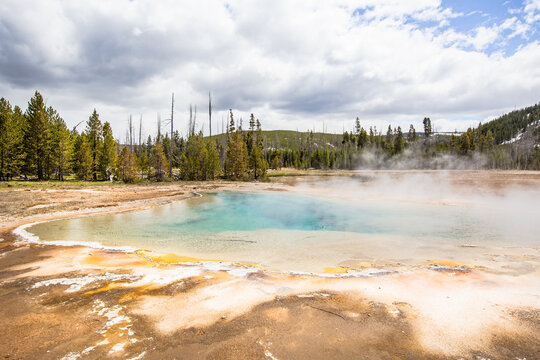 Dans le parc de Yellowstone