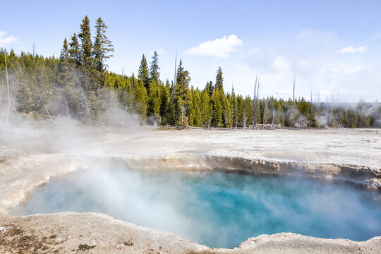 Dans le parc de Yellowstone