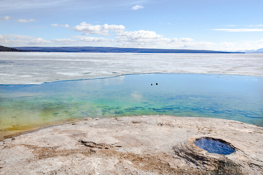 Dans le parc de Yellowstone