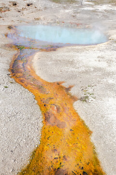 Dans le parc de Yellowstone