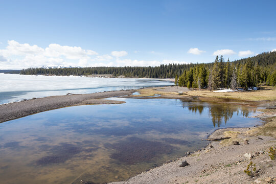 Dans le parc de Yellowstone