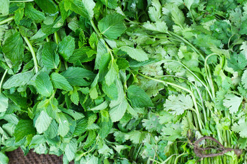 Greens of mint and parsley for cooking.