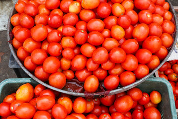 Red tomatoes on the counter in a box and on a large round tray.