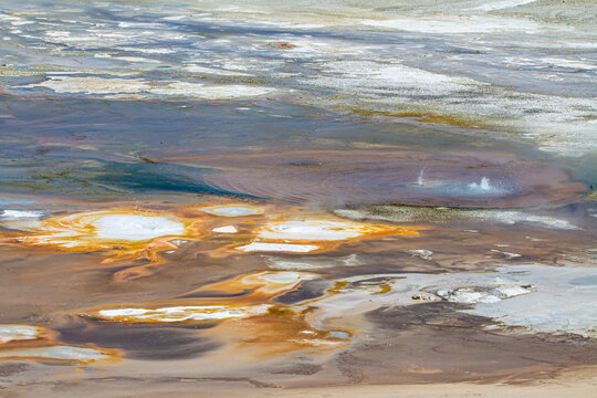 Dans le parc de Yellowstone