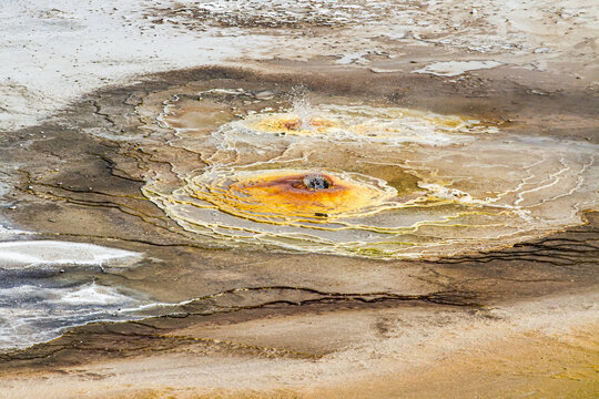 Dans le parc de Yellowstone