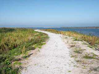 Fototapeta na wymiar Path of nature hiking trail through wetlands of Marker Wadden island, Netherlands