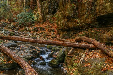 Landscape of a narrow stream surrounded by rocks and trees in autumn in a forest